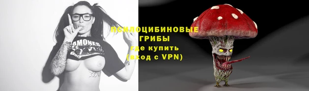 кокаин колумбия Алексин