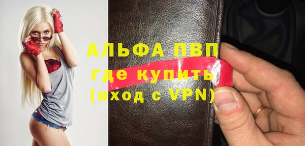 хмурый Абаза