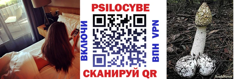 Псилоцибиновые грибы Cubensis  Яровое 